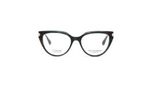 Ana Hickmann AH6561T G21 Brown Green Tortoise