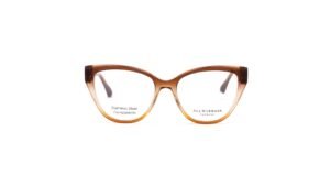 Ana Hickmann AH6552 C01 Brown Gradient