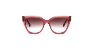 Ana Hickmann AH9430 H01 Purple Brown