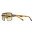 Xite X1113 60-16 C3 Brown Tortoise
