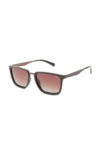 Fila SFIC30K 54-19 9M4P Brown