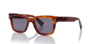 Shisen Fox Okinawa Havana 52 19