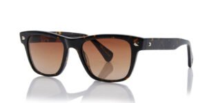 Shisen Fox Shinzo Dark Havana 52 19