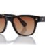 Shisen Fox Shinzo Dark Havana 52 19