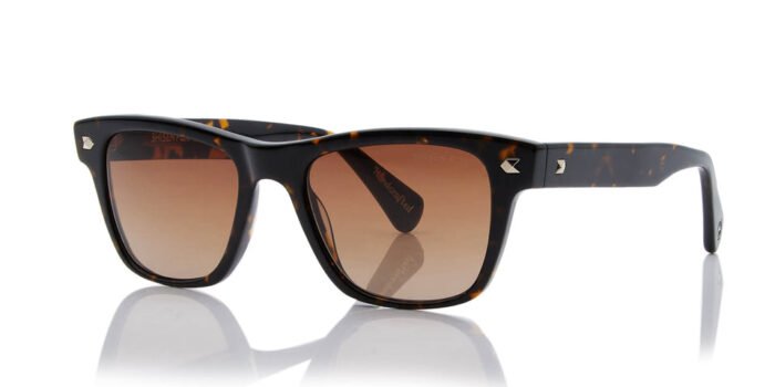 Shisen Fox Shinzo Dark Havana 52 19