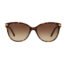 BURBERRY B4216 Tortoise 3002 13 57 16