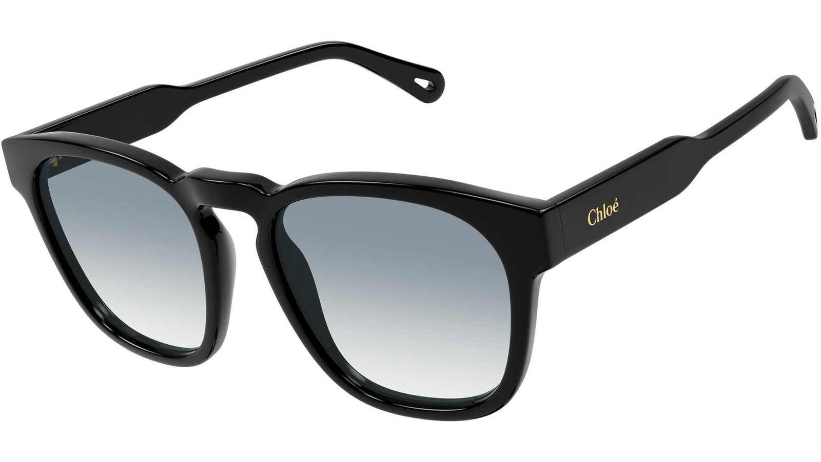 Chloe CH0160S Black 001 54 19 145